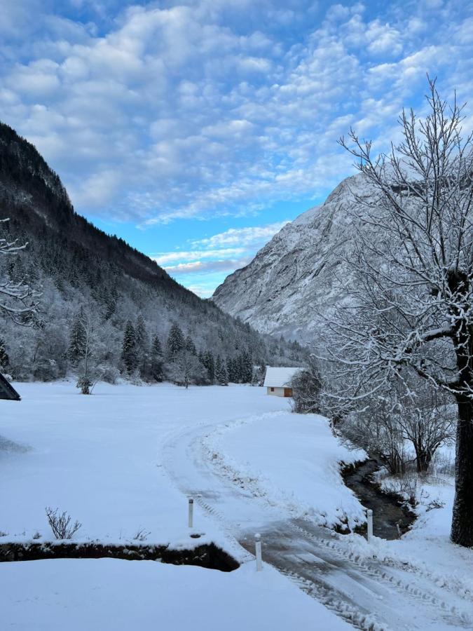 Apartments Mala Korita Soce Soca Bagian luar foto