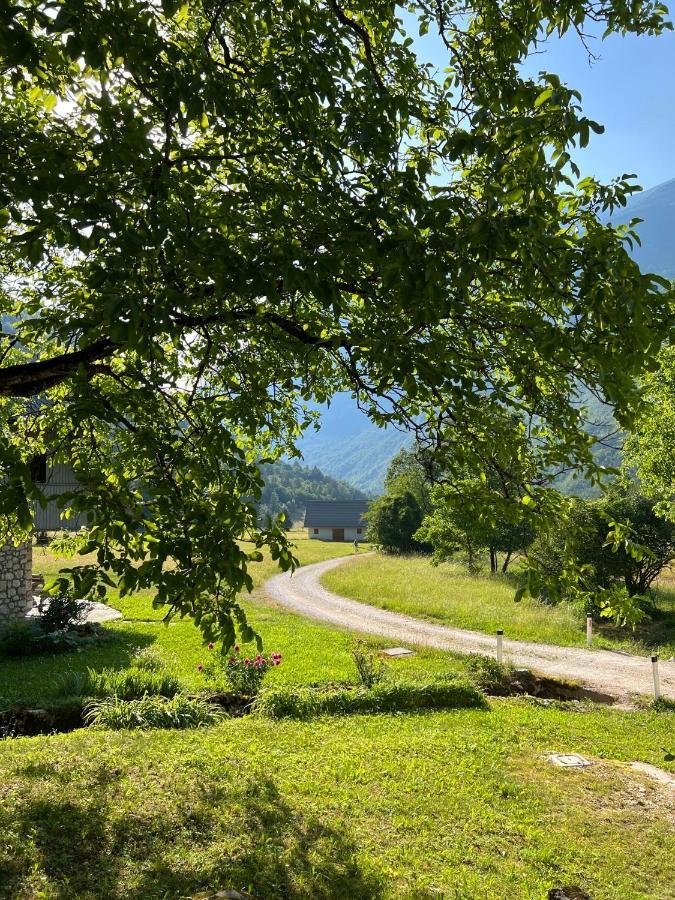 Apartments Mala Korita Soce Soca Bagian luar foto