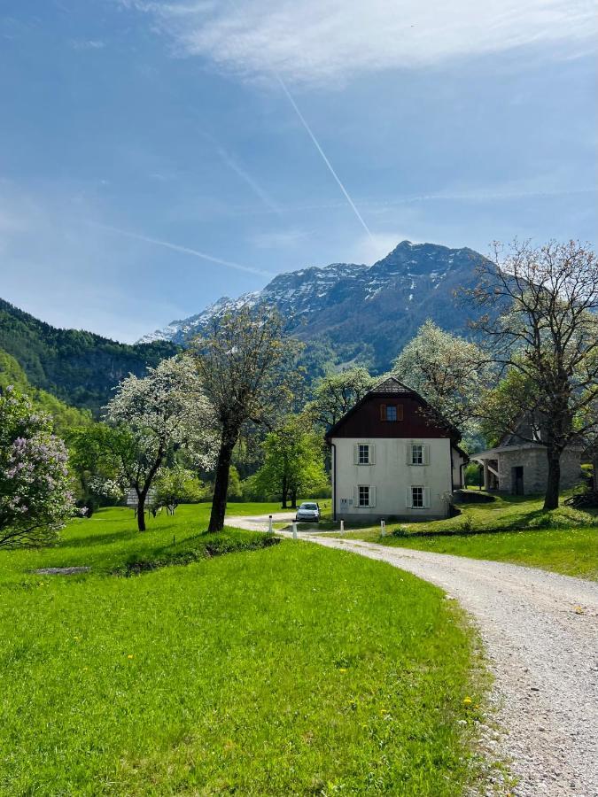 Apartments Mala Korita Soce Soca Bagian luar foto
