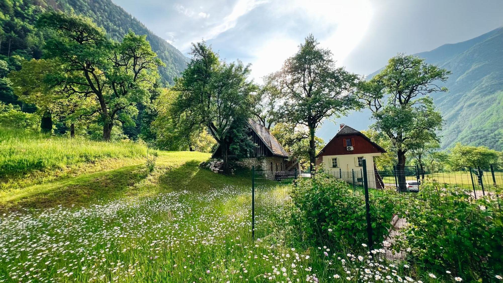 Apartments Mala Korita Soce Soca Bagian luar foto