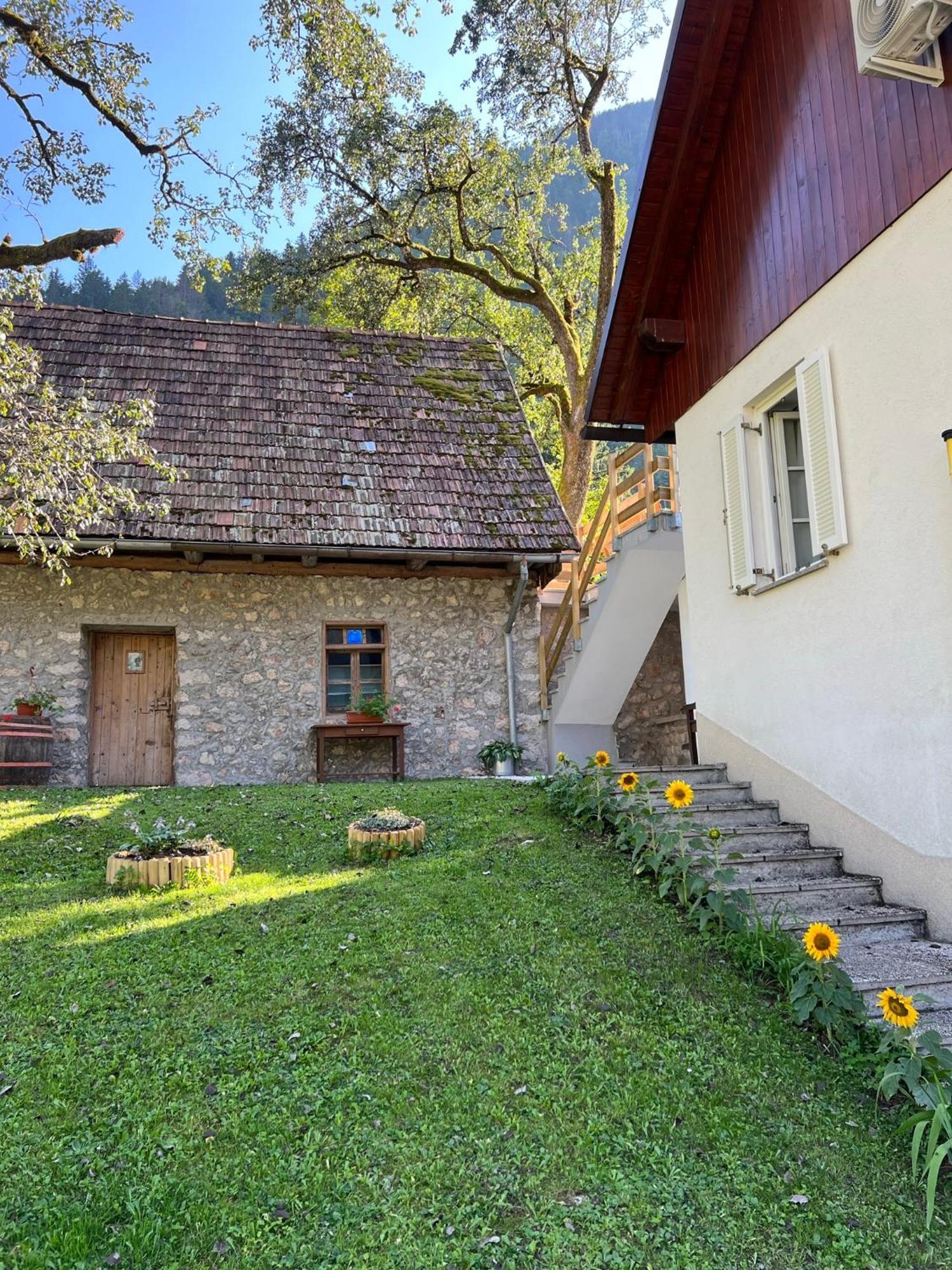 Apartments Mala Korita Soce Soca Bagian luar foto