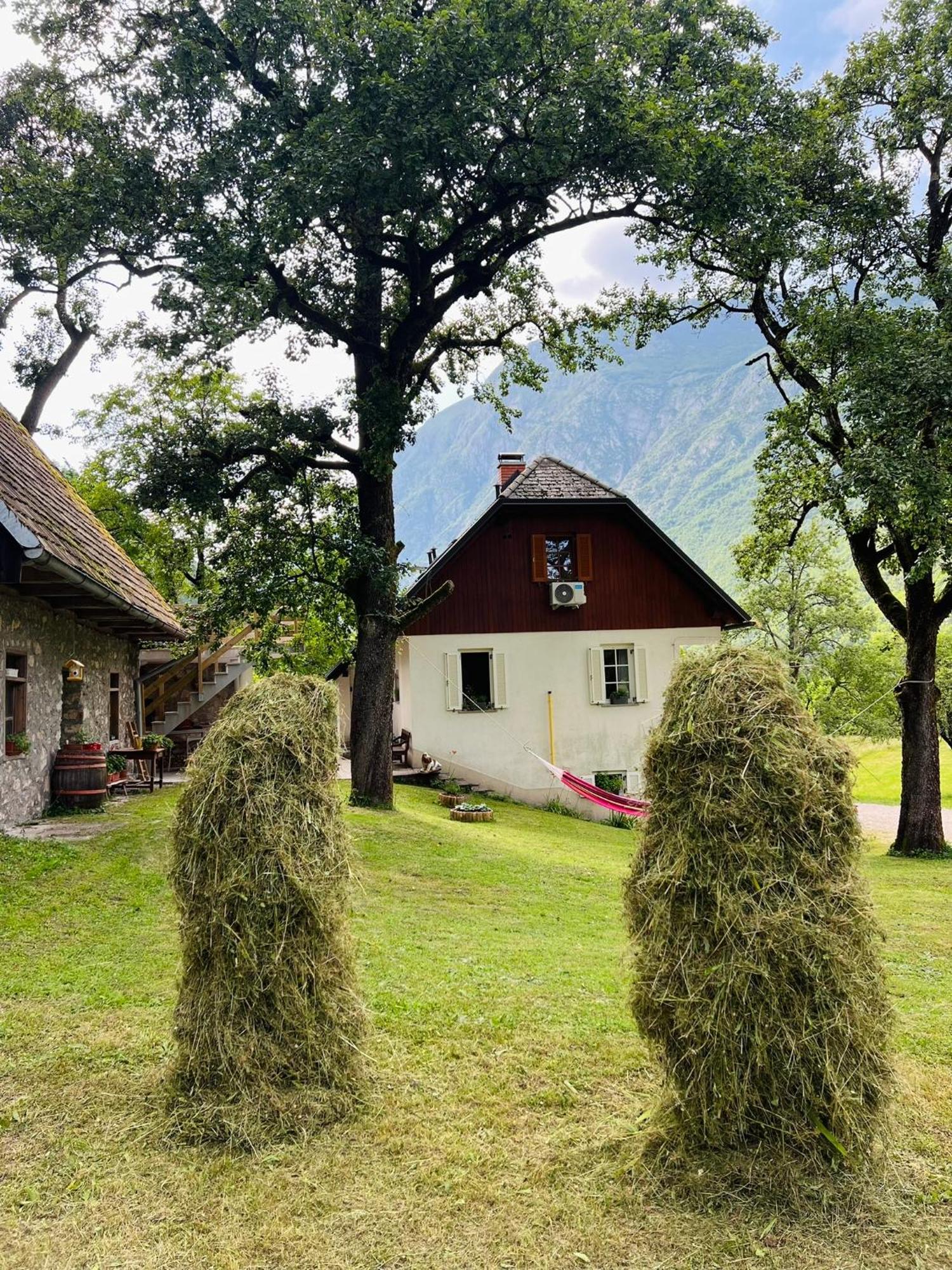 Apartments Mala Korita Soce Soca Bagian luar foto