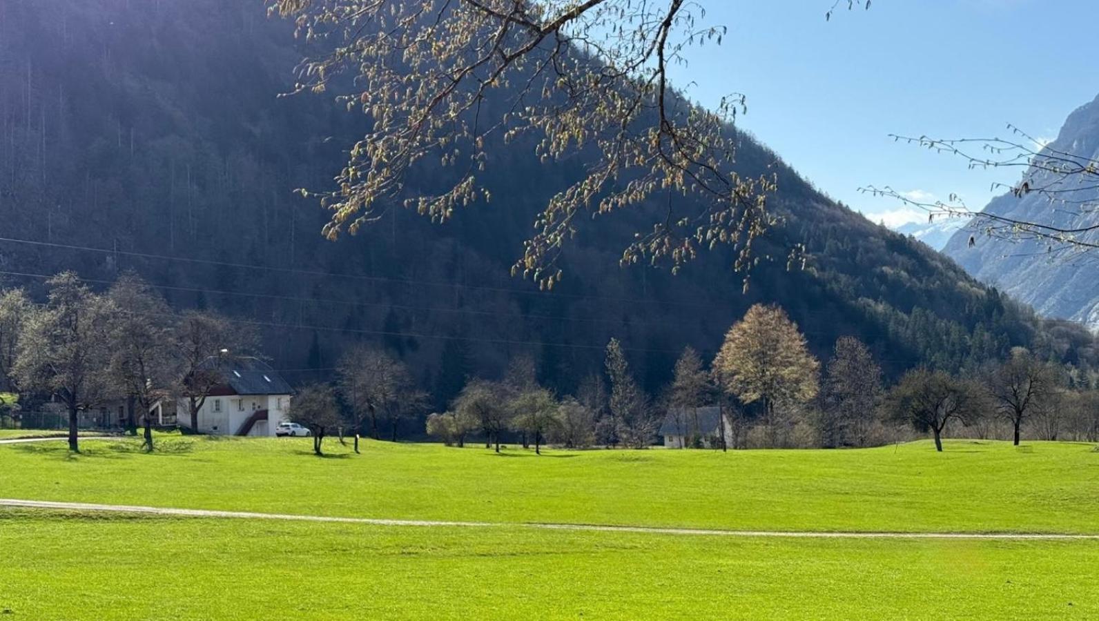 Apartments Mala Korita Soce Soca Bagian luar foto