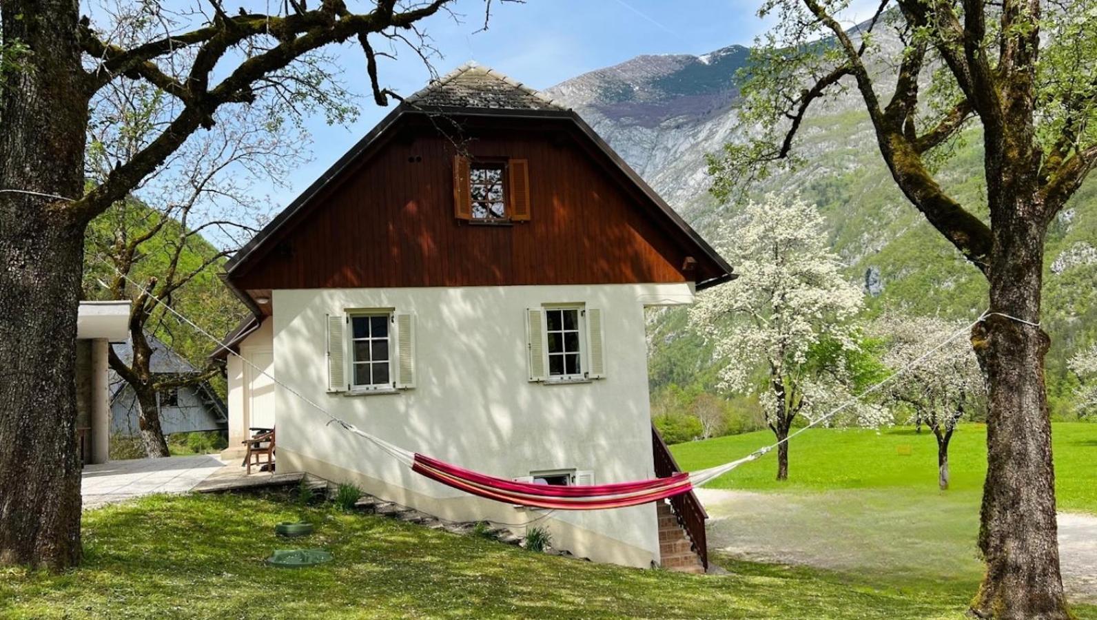 Apartments Mala Korita Soce Soca Bagian luar foto